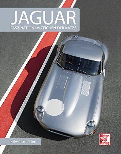 Jaguar: Faszination im Zeichen der Katze